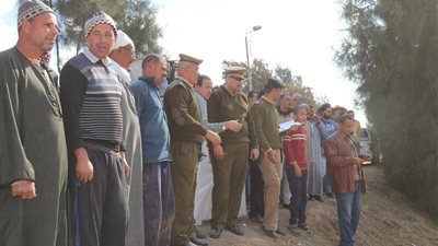 تنفيذ إزالة 547 حالة تعدِ على الأراضي الزراعية بمساحة 101 فدان في كفر الشيخ