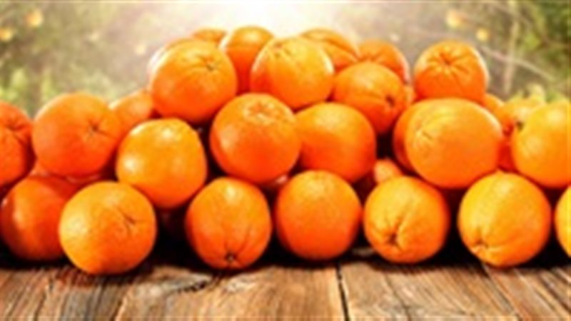 أسعار البرتقال اليوم