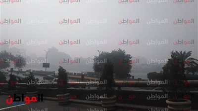 صور| شبورة وسحب منخفضة تسيطر على التحرير