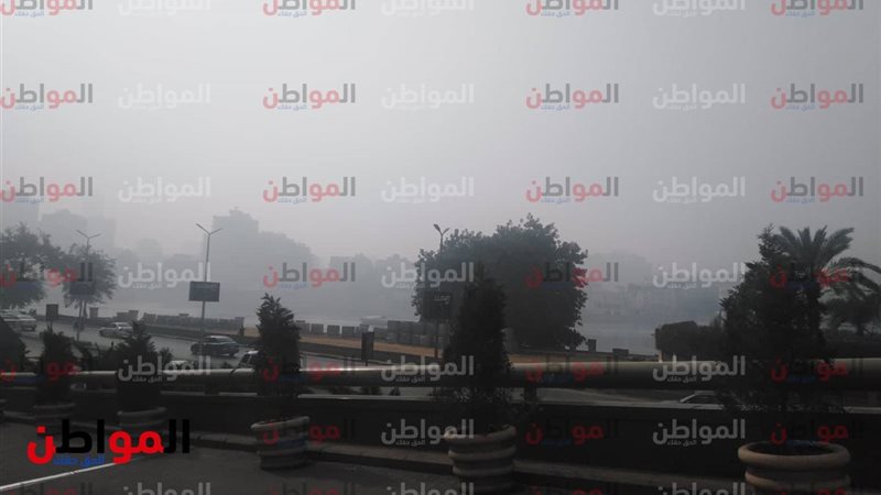  شبورة وسحب منخفضة
