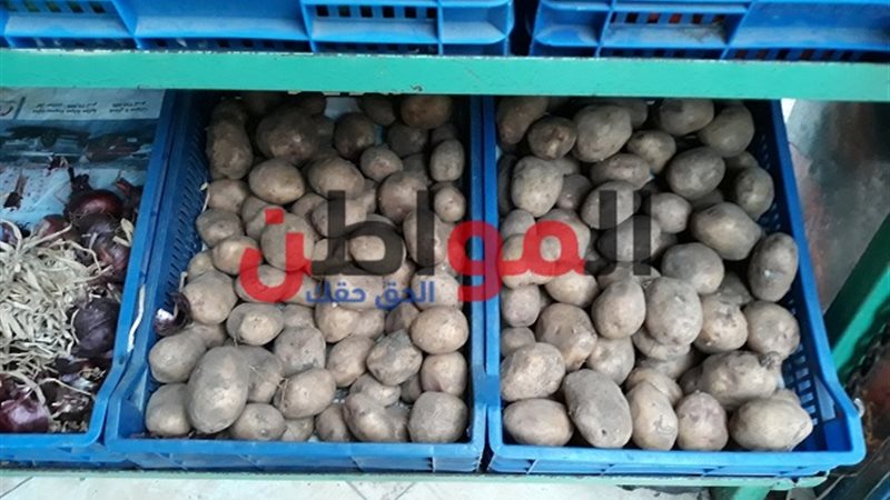 أسعار البطاطس في