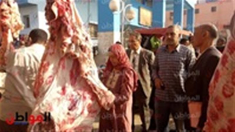 المواطن