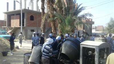 إزالة 56 حالة تعدِ على الأراضي الزراعية بمدينتي قوص وفرشوط