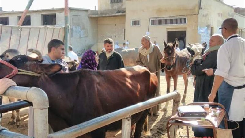 بيطري الغربية