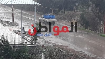 صور.. أمطار غزيرة تضرب كفر الشيخ.. وتوقف حركة الصيد