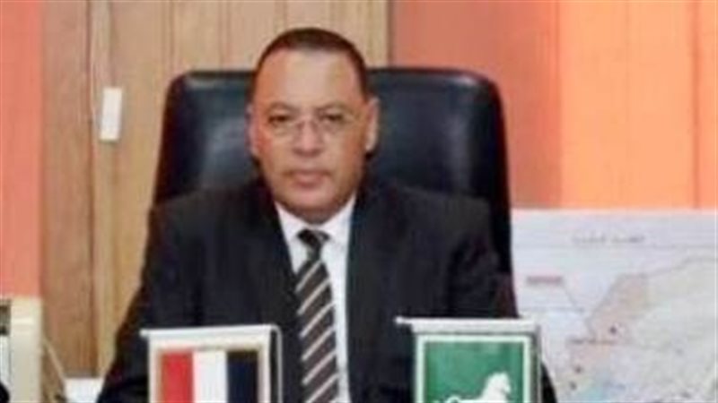 محافظ الشرقية 