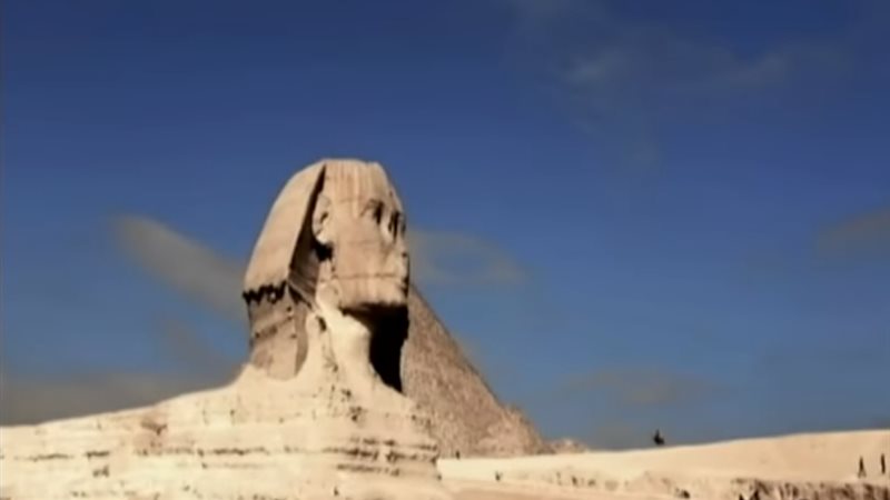 فيلم الرقم الصحيح