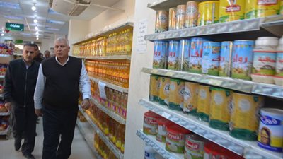 صور.. دعم حي البساتين بمحول كهربي وتطوير مول المصرية في الوادي الجديد