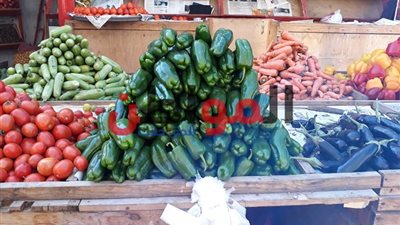 فيديو.. أسعار الخضروات والفاكهة بأسواق كفر الشيخ