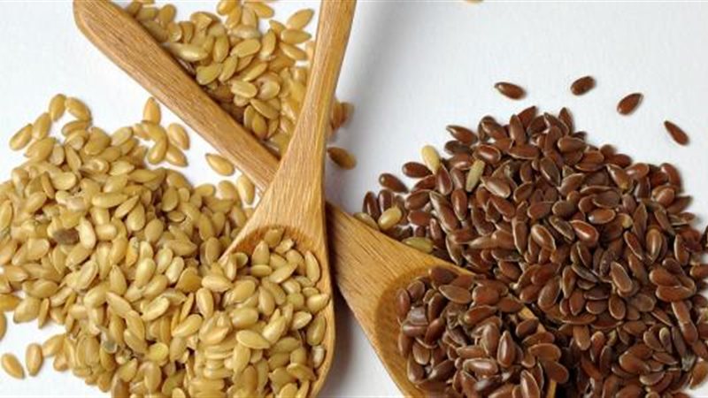 البذور وتغذية الأـطفال