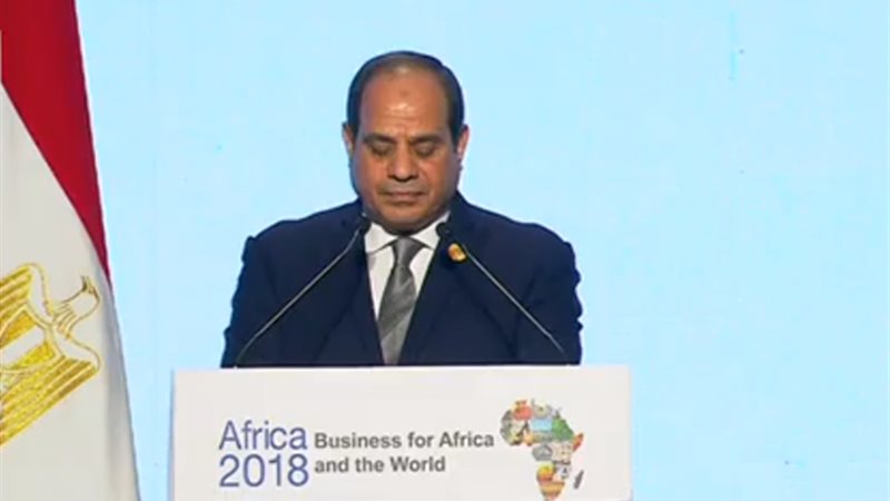الرئيس السيسى والاستثمار