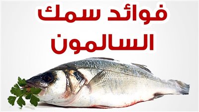 انفوجراف| 5 فوائد لسمك السلمون