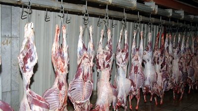 ذبح لحوم خارج المجزر الحكومي الأبرز .. ضبط 30 قضية تموينية متنوعة بالبحيرة