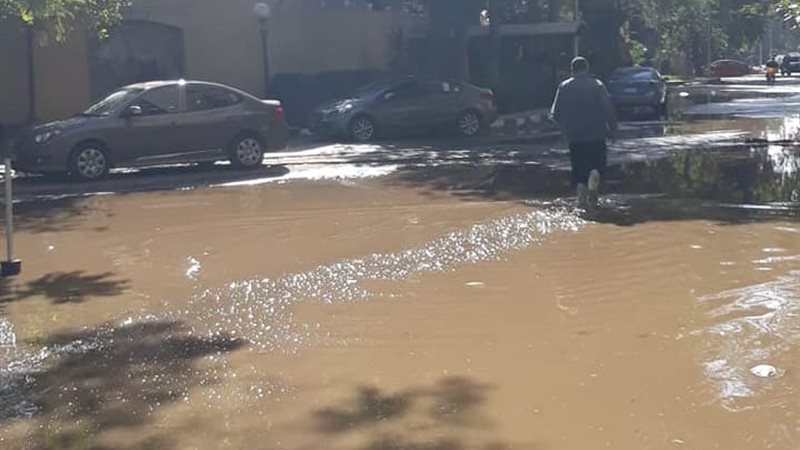حي المعادي