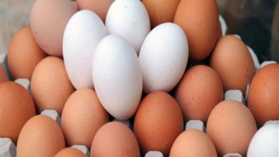 تعرف على أسعار البيض في الإسماعيلية اليوم