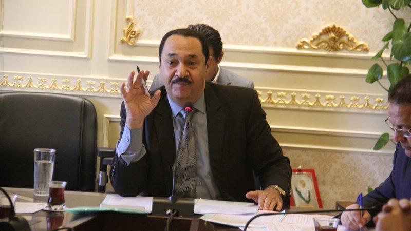 النائب النويشى