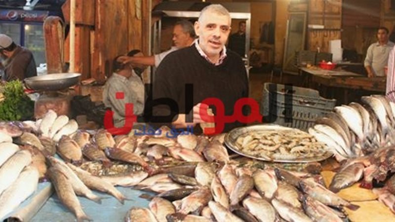 أسعار الأسماك بالإسكندرية