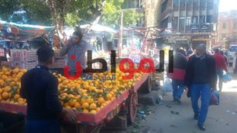 أسعار الفاكهة في