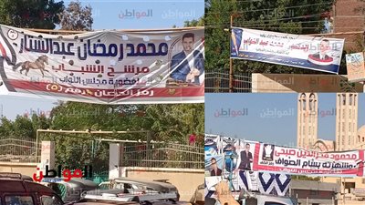 قبل الانتخابات التكميلية بطامية .. مكبرات الصوت تعلو دون برامج .. والأهالي:هنصوت لمين