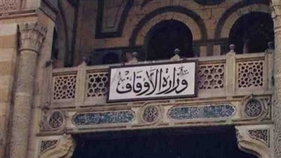 هيئة الأوقاف تتولي زراعة 20 ألف فدان بشرق العوينات في الوادي الجديد 