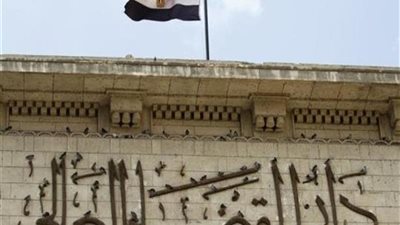 تأجيل دعوى وقف إنشاء محطة الضبعة النووية لهذا التاريخ 