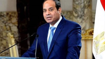 فيديو.. السيسي: مصر تحرص على تنمية كوت ديفوار فى جميع المجالات 