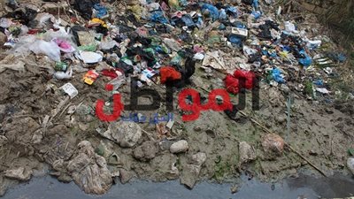 فيديو| قرية قشوع بالإسكندرية أشبه بغابات الأمازون.. والأهالي يستغيثون في ظل غياب المسؤولين