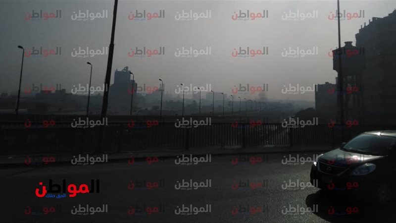 المواطن