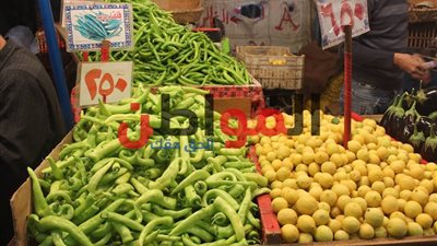 أسعار الخضروات والفاكهة بالإسكندرية اليوم.. تعرف عليها