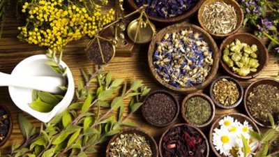 بأكثر من ألفى نوع نبات عطرى.. إيران تُقيم معرض لطب الأعشاب 