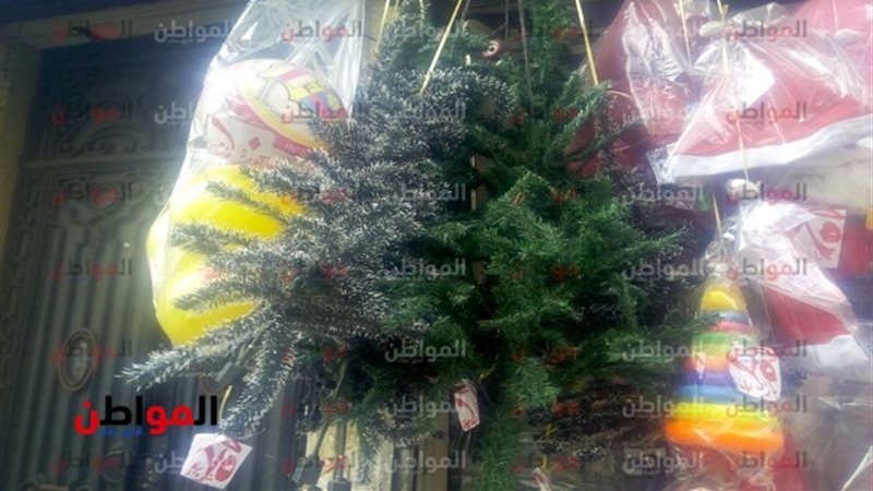 المصريين يبدأون مبكرا