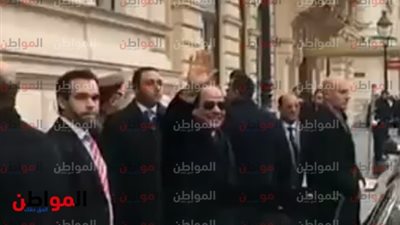   وكالة أنباء النمسا الرسمية: الرئيس السيسى أجاب دعوتنا للحضور.. وهذا برنامجه 