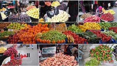 رفع شعار الغلاء.. تباين أسعار الخضروات والفاكهة في الأسواق 