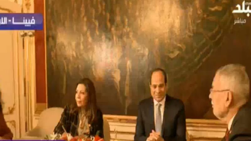 الرئيس المصري والنمساوي