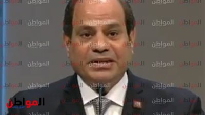 الرئيس السيسى يعلن من النمسا 2018 تدشين شبكة معلومات أفريقيا 