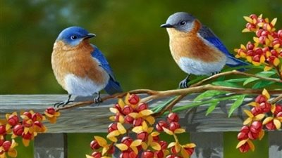 حكايات قبل النوم..قصة الصغيران