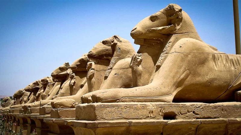 زيادة أسعار تذاكر