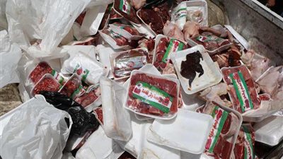 صحة الوادي الجديد تعدم 157 كجم أغذية غير صالحة للاستخدام الآدمي