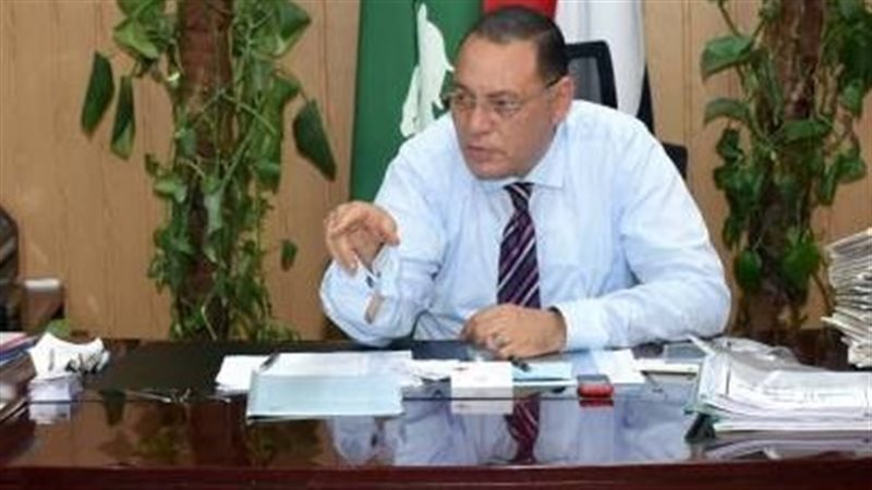 محافظ الشرقية 