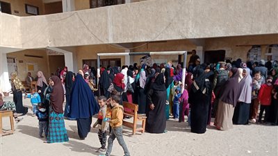 مؤشرات أولية لنتائج الفرز بقرية الروضة في انتخابات طامية التكميلية