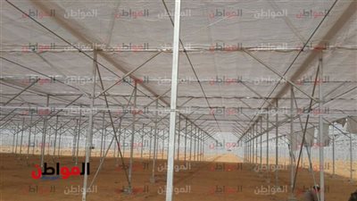   فوائد الصوب الزراعية الحديثة 