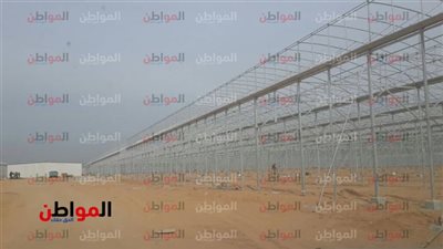 مشروع الصوب الزراعية المحمية.. كيف هو ؟  