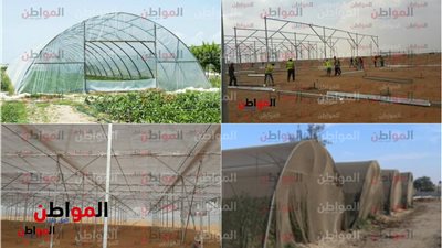 صور.. تعرف على آلية عمل الصوب الزراعية في مصر