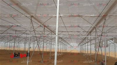   تعرف على أشهر اماكن بيع الصوب الزراعية