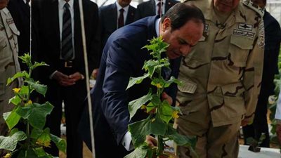 الرئيس السيسي يفتتح مشروعات الصوب الزراعية في العاشر من رمضان