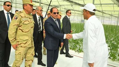 تفاصيل الصوب الزراعية في مصر .. هكذا بدأ الحلم والآن تحقق