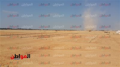 فيديو وصور .. الصوب الزراعية في العاشر من رمضان حين كانت حلمًا صحراويًا