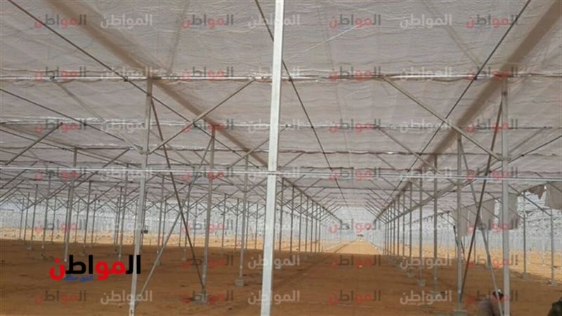 الصوب الزراعية الحديثة