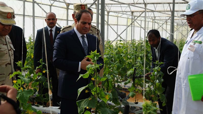 السيسي يفتتح الصوب