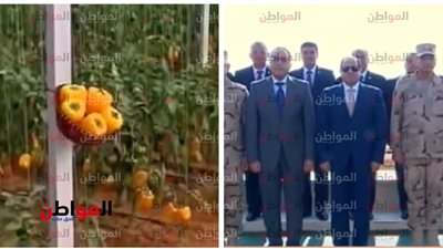 افتخر ببلدك .. هكذا رأوا مديرو الشركات الإسبانية المشروع القومي للصوب الزراعية